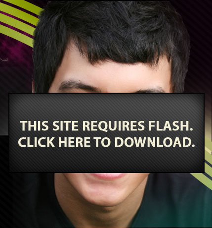 This site requires flash